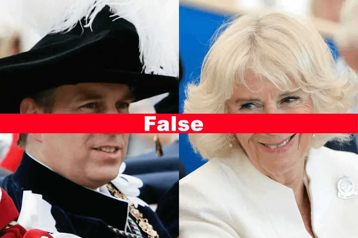 Fact Check The Anatomy of a Crisis Hoax Deconstructing the Fictional