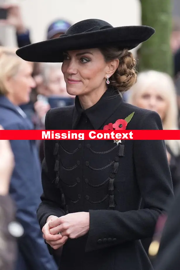 Fact Check: Princess Catherine's Unscripted Gesture Royal Fans ‘Shaking’ After Armistice Day Surprise