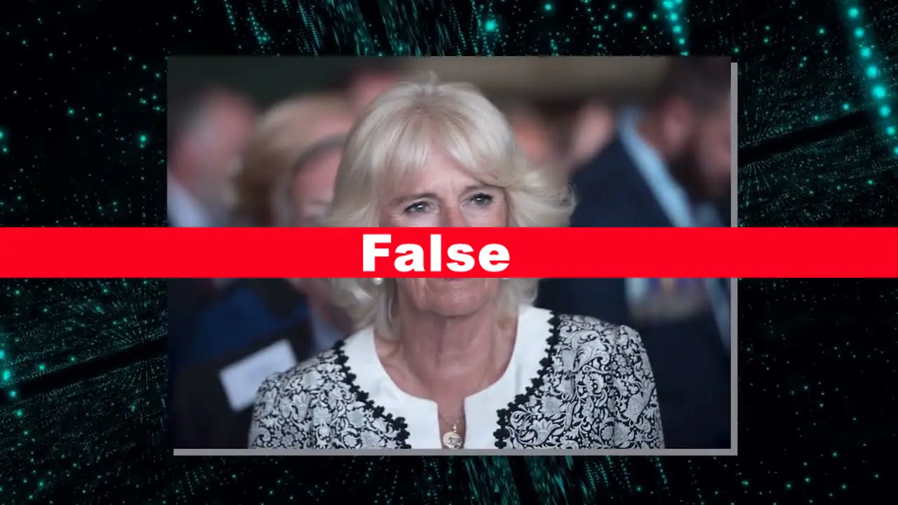 Fact Check: The Coronation Catastrophe Prince William's Rage Breaks Westminster Silence